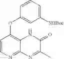 Fig. 197 - Pyrido[2,3-B]pyrazin-8-substituted compounds and their use