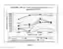 Fig. 03 - Use of proteases for gluten intolerance