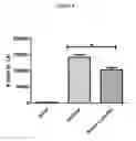 Fig. 07 - Methods and compositions for enhancing an immune response, blocking monocyte migration, amplifying vaccine immunity and inhibiting tumor growth and metastasis