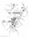 Fig. 02 - Sizing Fit Cycle