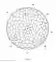 Fig. 13 - Dimple patterns for golf balls