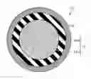Fig. 01 - Golf balls containing layers made from transparent polyamide and plasticizer compositions