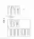 Fig. 02 - Non-transitory computer readable recording medium, game control method, server device, and information processing system