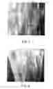 Fig. 04 - Method of producing cold-worked centrifugal cast tubular products