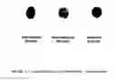 Fig. 07 - Laser conversion of high purity silicon powder to densified granular forms