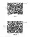 Fig. 02 - Abrasive article and method of forming