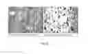 Fig. 14 - Method to direct compound extruded structure for the production of irradiation crosslinked polypropylene foam