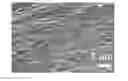 Fig. 01 - Graphene Hydrogel, Graphene Hydrogel Nanocomposite Materials, and Preparation Method Thereof