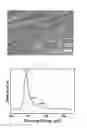 Fig. 05 - Graphene Hydrogel, Graphene Hydrogel Nanocomposite Materials, and Preparation Method Thereof