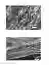 Fig. 09 - Graphene Hydrogel, Graphene Hydrogel Nanocomposite Materials, and Preparation Method Thereof
