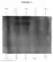 Fig. 13 - Surface marked articles, related methods and systems