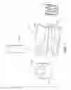 Fig. 07 - Electrical power assisted steering device