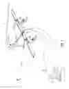 Fig. 02 - Dual-pitch support for a propeller