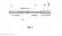 Fig. 04 - Systems and Methods for Nanoscopically Aligned Carbon Nanotubes