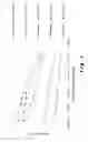 Fig. 02 - High-finesse limewater composition