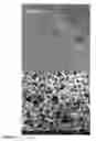 Fig. 09 - Microparticles and a system and method for the synthesis of microparticles