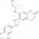 Fig. 77 - Activators of human pyruvate kinase