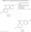 Fig. 16 - Process-scale synthesis of urolithins