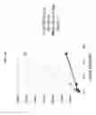 Fig. 35 - Crystalline pharmaceutical and methods of preparation and use thereof
