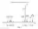 Fig. 08 - Solid state form of vemurafenib choline salt