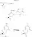 Fig. 16 - Pyrimidinone derivatives as antimalarial agents