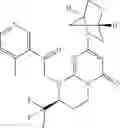 Fig. 70 - Pyrimidinone derivatives as antimalarial agents