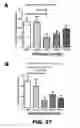 Fig. 71 - Antibodies to tau