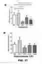Fig. 72 - Antibodies to tau