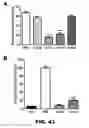 Fig. 85 - Antibodies to tau