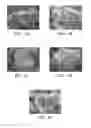 Fig. 02 - Process for manufacturing coated filler particles