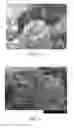 Fig. 07 - Process for manufacturing coated filler particles