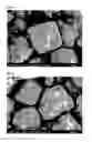 Fig. 02 - Fluoride fluorescent material and method for producing the same