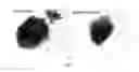 Fig. 03 - CATALYTIC CRACKING OF ORGANIC COMPOUNDS USING A MODIFIED Y ZEOLITE