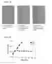 Fig. 03 - Methods for producing cells having a phenotype of a primary human hepatocytes and compositions