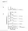 Fig. 12 - Methods for producing cells having a phenotype of a primary human hepatocytes and compositions
