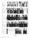 Fig. 04 - PRIMER FOR AMPLIFYING GERANYL PYROPHOSPHATE SYNTHASE FROM MANGO
