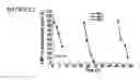 Fig. 02 - STRUCTURED BIOLOGICAL MATERIALS AND RELATED PRODUCTS AND METHODS
