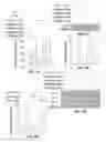 Fig. 06 - Antisense Oligonucleotides Against Neutral Sphingomyelinase and Neutral Sphingomyelinase Inhibitor GW4869 for Degenerative Neurological Disorders