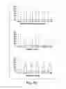 Fig. 07 - Bacteria mediated gene silencing