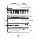 Fig. 08 - Bacteria mediated gene silencing