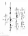 Fig. 02 - Targeted genome engineering in plants