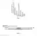 Fig. 02 - Method of producing stress tolerant plants overexpressing CaSUN1