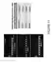 Fig. 22 - Methods for genomic integration