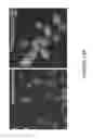 Fig. 28 - Methods for genomic integration