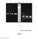 Fig. 06 - Methods for analyses of cyanobacterial restriction endonucleases