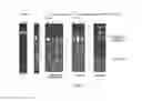 Fig. 07 - Methods for analyses of cyanobacterial restriction endonucleases