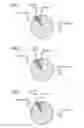 Fig. 02 - METHOD FOR IMPROVED QUANTIFICATION OF MIRNAS