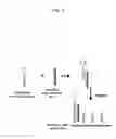 Fig. 04 - Nucleic Acid Detection System and Method for Detecting Influenza