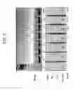 Fig. 09 - Nucleic Acid Detection System and Method for Detecting Influenza