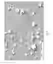 Fig. 09 - Radiation shielding for a CVD reactor